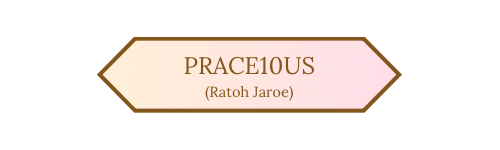 prace10us